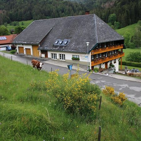 Ferienwohnung Talblick Todtmoos Buitenkant foto