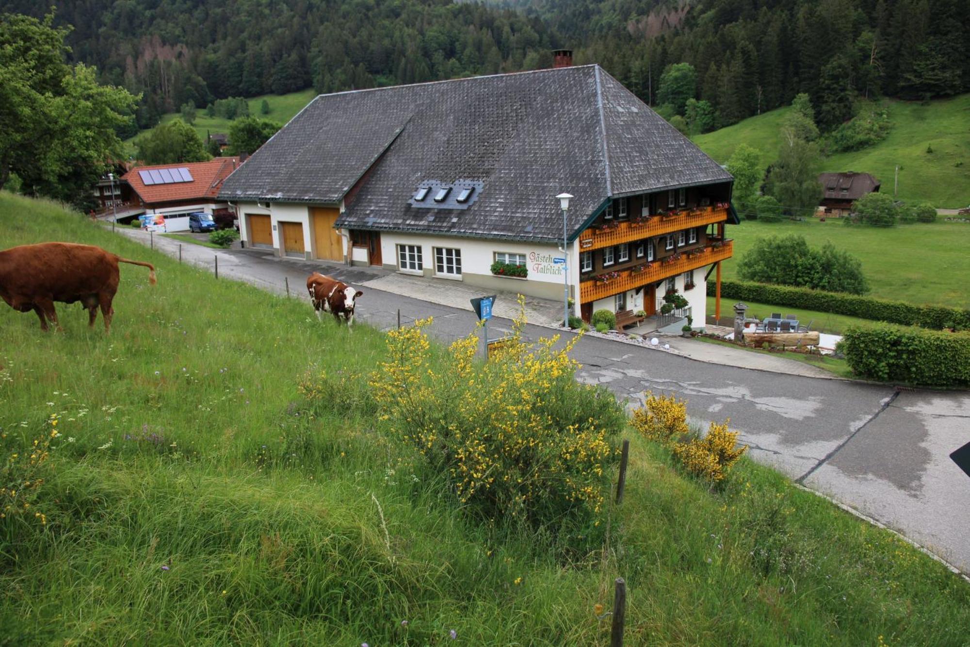 Ferienwohnung Talblick Todtmoos Buitenkant foto