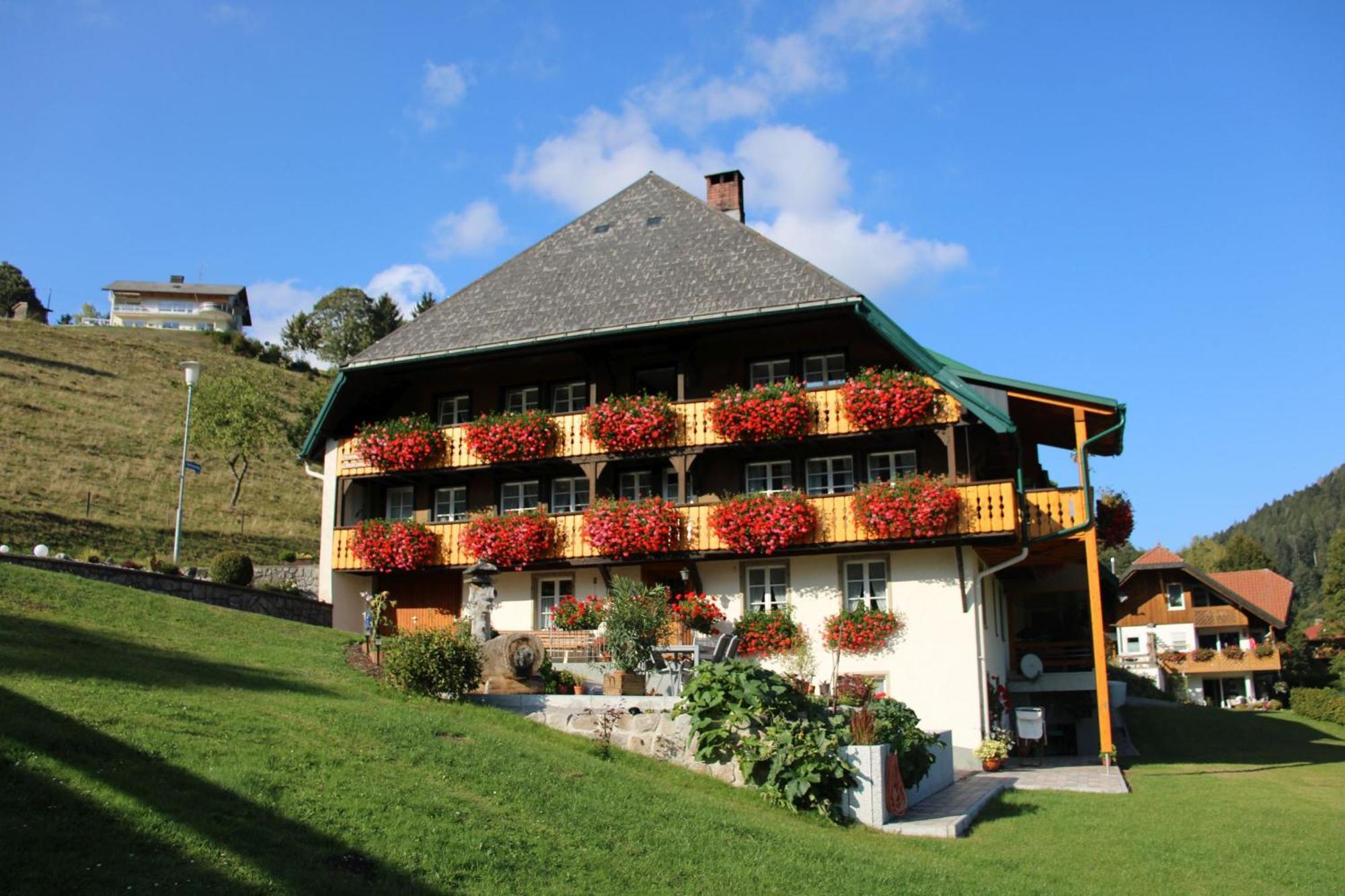 Ferienwohnung Talblick Todtmoos Buitenkant foto